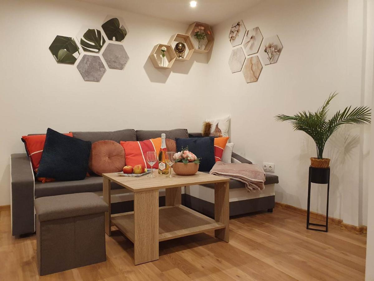 Raday Exlusive Apparttement Appartamento *